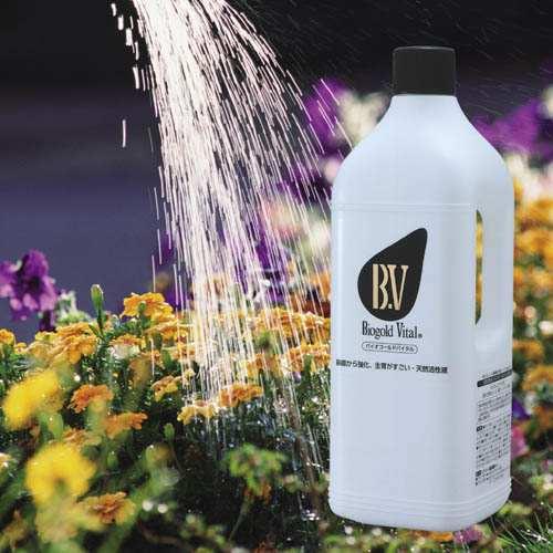 バイオゴールド バイタル活性液 2L